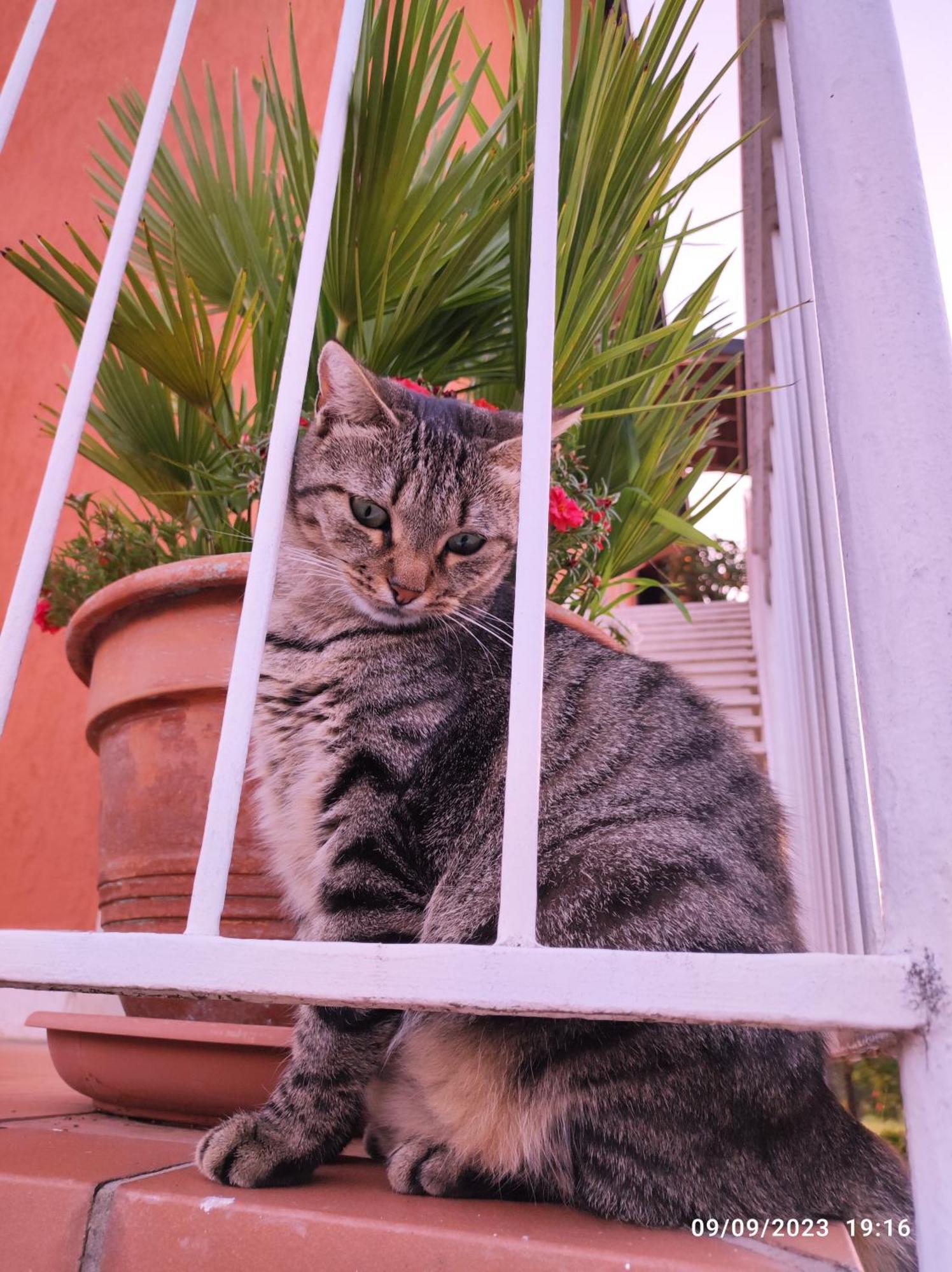 Casapatrizia B&B Sirmione Exteriör bild