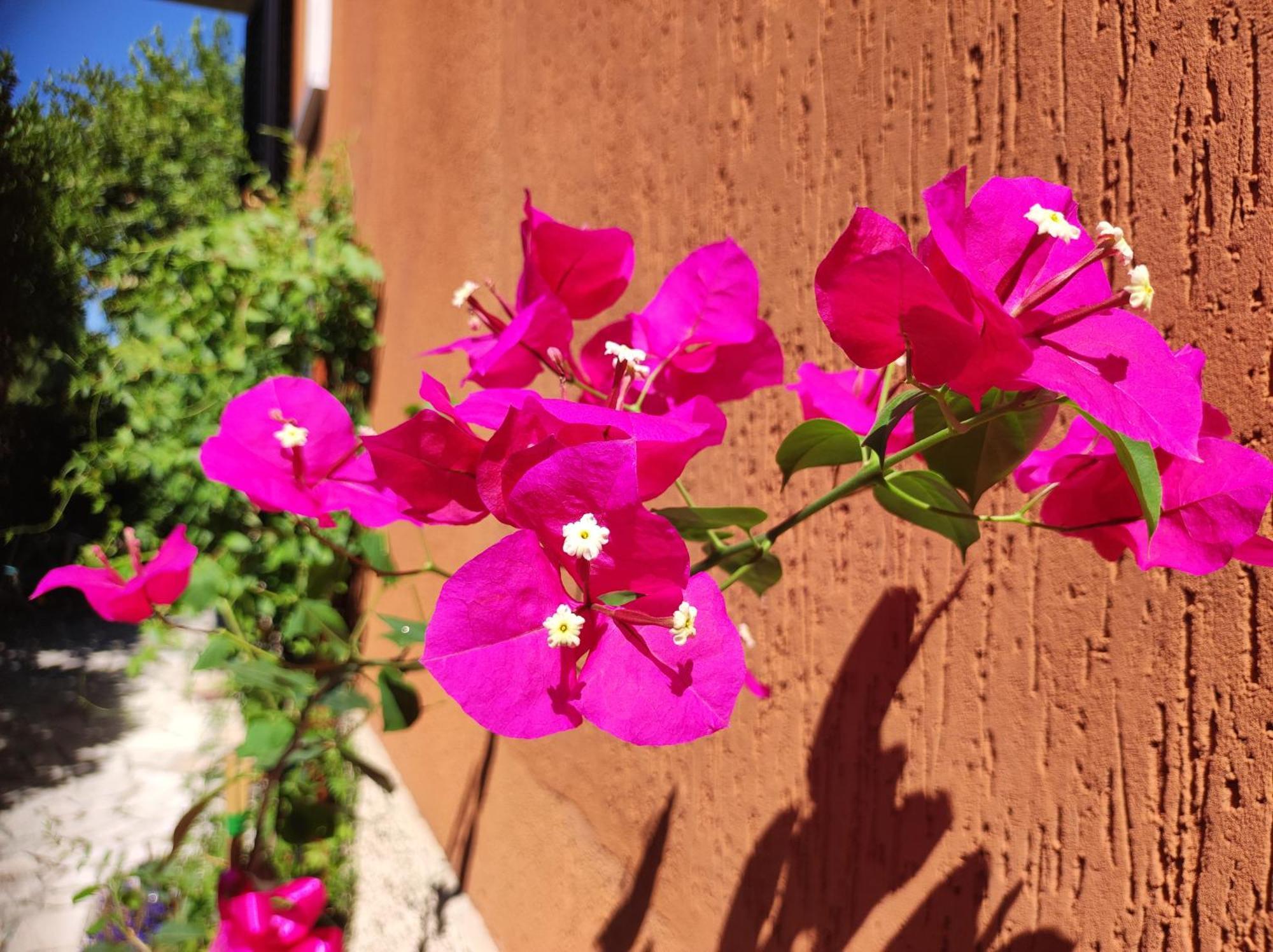 Casapatrizia B&B Sirmione Exteriör bild